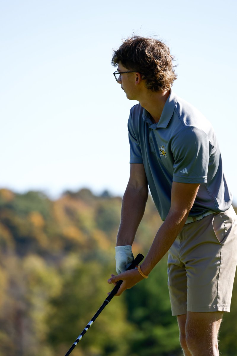 Final round on deck 🏌️‍♂️

📊 - tinyurl.com/mrxtewxz