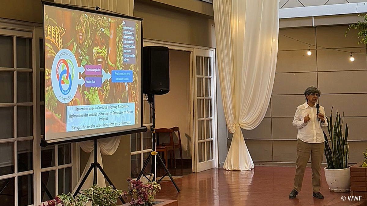 WCS Perú tweet media