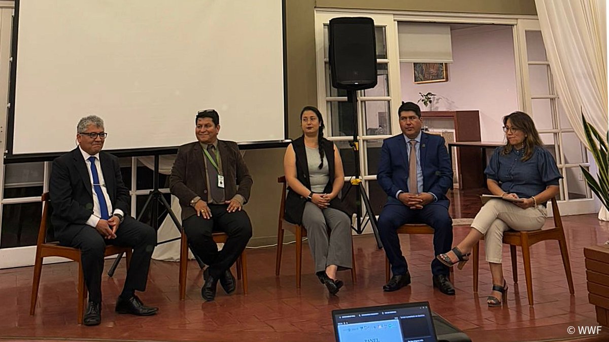 WCS Perú tweet media