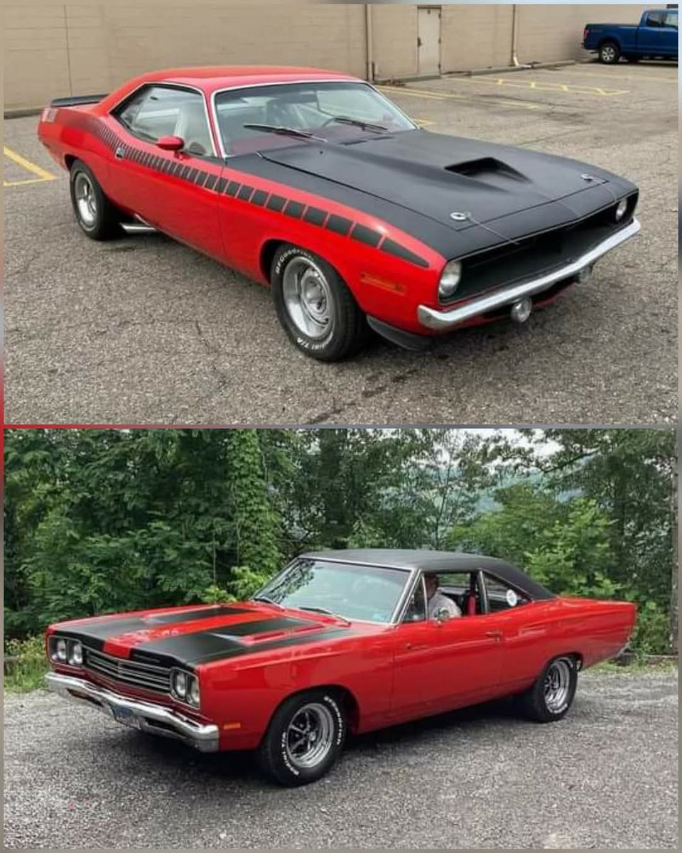 Top or bottom?