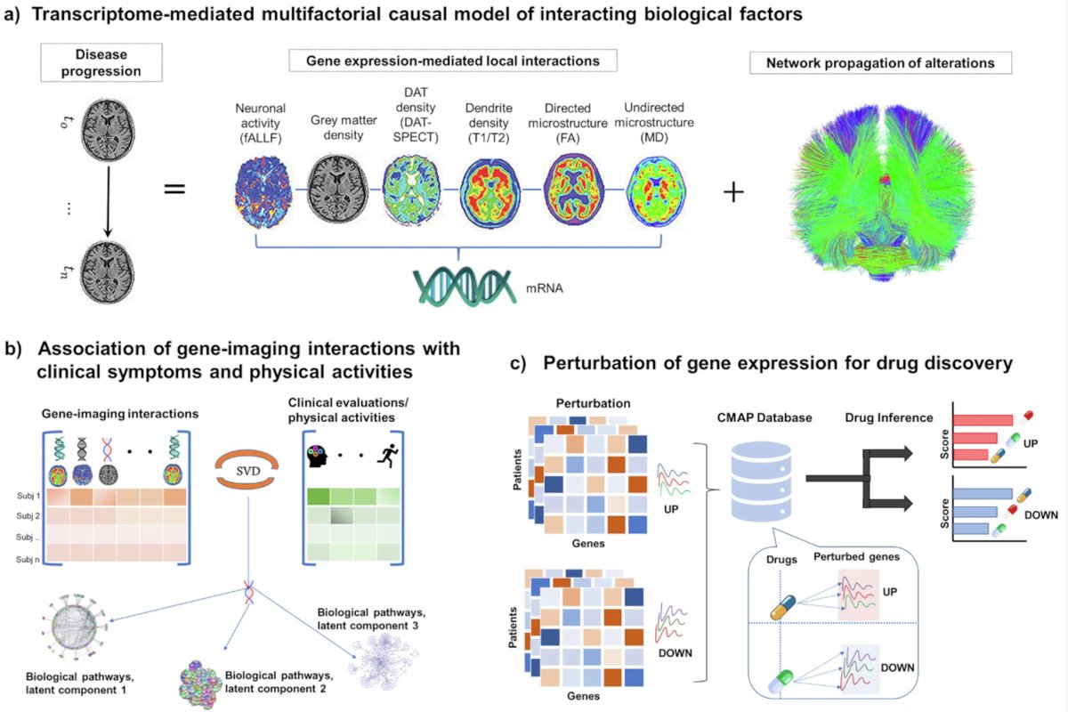 Article📣Integrated personalized brain transcriptomic &amp; multimodal imaging (SPECT, MRI, fMRI, DTI) models of progression &amp; treatment needs in Parkinson’s D. Mapping how ~1000 genes control imaging-derived causal mechanisms in PD brain and tailored drugs 👉rdcu.be/d9WcV