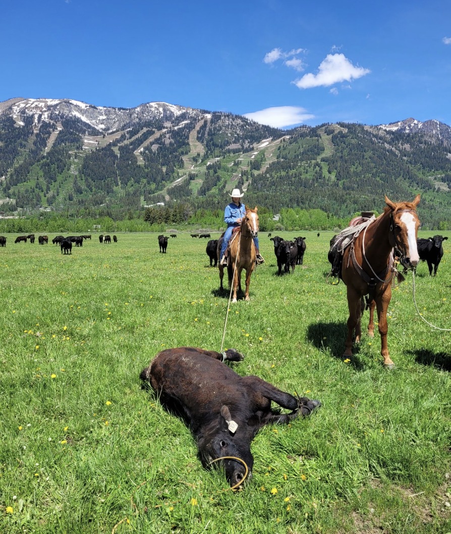 FarmAnswers's tweet image. The University of Wyoming works to circulate media-based education to reach beginning farmers and ranchers.

Learn more about how they are creating and sharing this type of education on the latest episode of the Farm Answers podcast at farmanswers.captivate.fm.