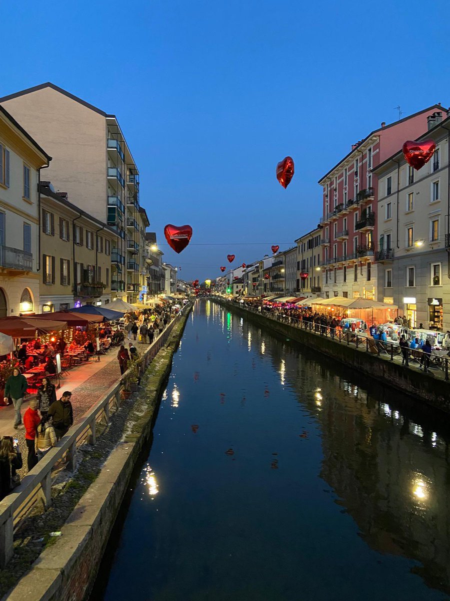 Frans Dijkstra tweet media