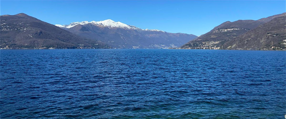 Frans Dijkstra tweet media