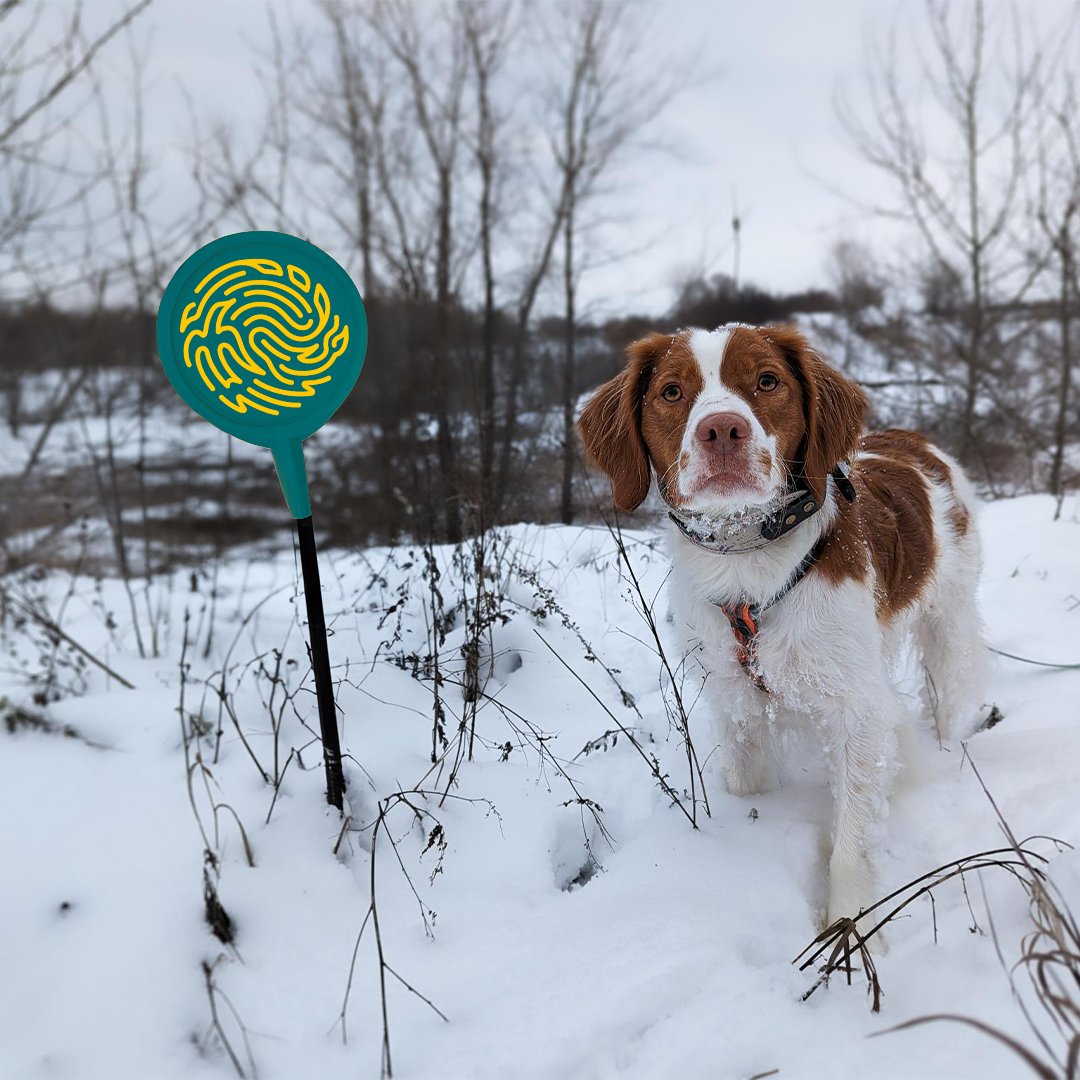 MBHabitat's tweet photo. Did you know we have multiple pieces of publicly-accessible land? Whether you're snowshoeing, birdwatching or taking your furry friend out for a walk, they are perfect for winter adventures. Check our website to find a property near you (MHC branded map pin not included, YET)! https://t.co/E7lGoPsym4