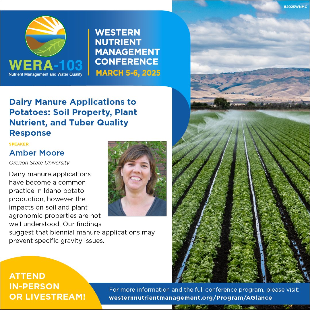 Join us for Amber Moore’s presentation “Dairy Manure Applications to Potatoes: Soil Property, Plant Nutrient, and Tuber Quality Response” at the 2025 Western Nutrient Management Conference. For the full conference program, please visit: westernnutrientmanagement.org/Program/AGlance #2025WNMC #WNMC