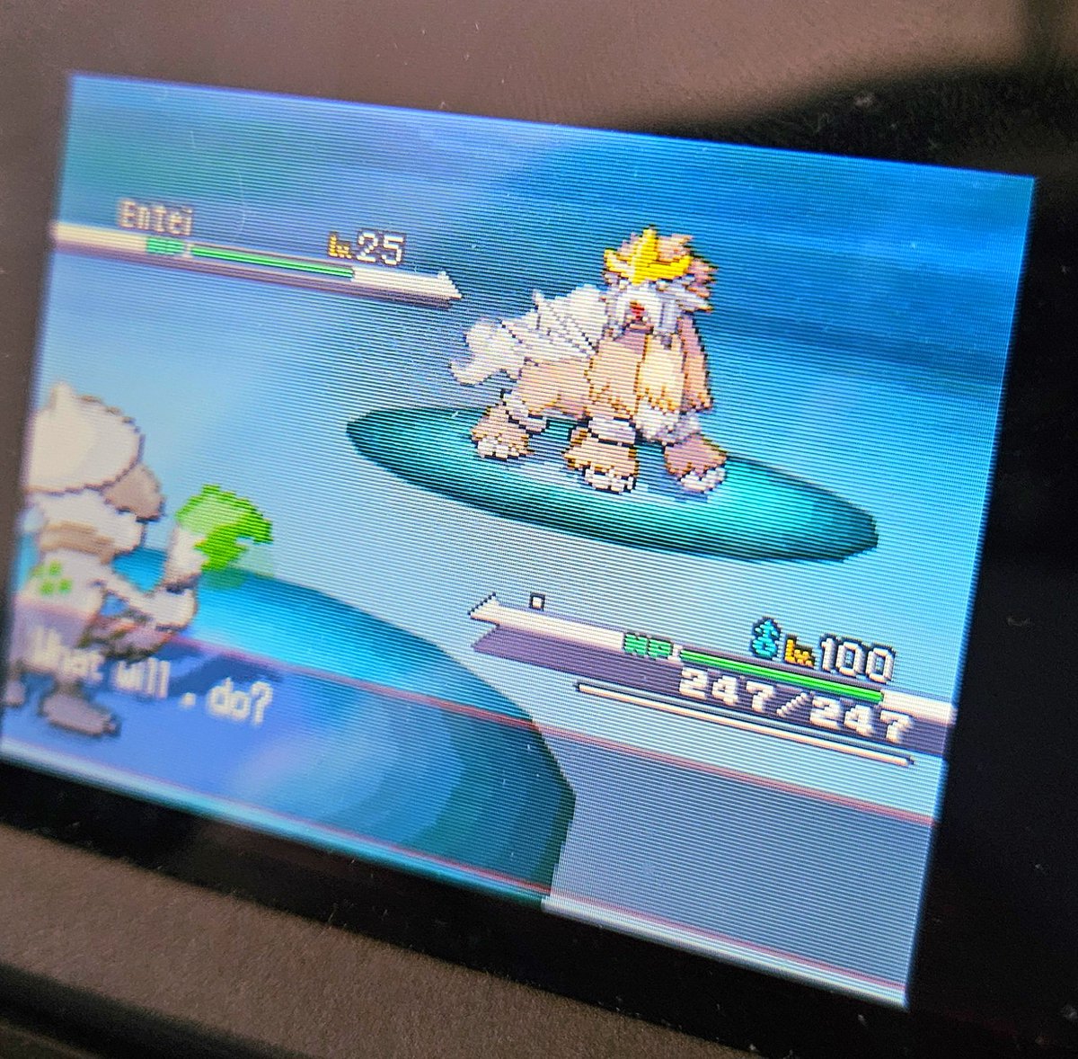 ShiningDanny1's tweet photo. #shinyentei #shinyunlock #unlock #shinypokemon #shiny #pokemon #fullodds #shinyhunt #bw #b2w2 #fulloddsshiny #shinyhunting #ds #unova #dtq #dreamteamquest #shinyfail #phase #fail https://t.co/vfqv257eJO