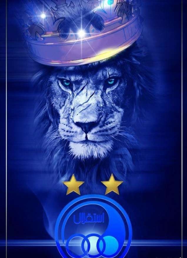 تو تاریخ بنویسید این شیر زخمی بود ولی جلو هیچ کفتاری زمین نخورد💙