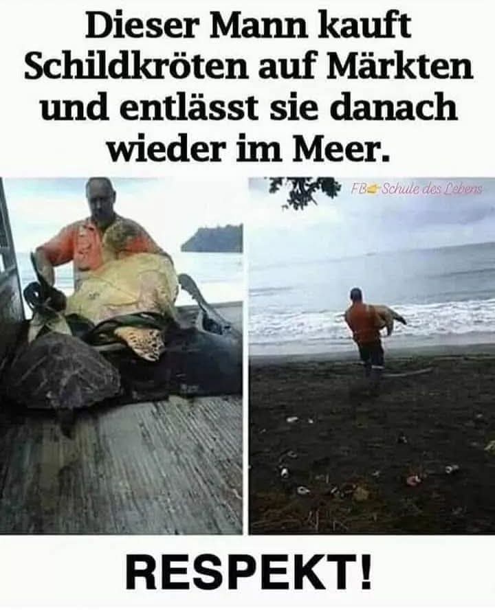 RESPEKT!💗
Es gibt überall auf der Welt herzensgute, mitfühlende Menschen, die ihr Bestes geben um Lebewesen zu retten, all diese Herzensmenschen sind wahre Lichtblicke im Tierschutz! Danke!