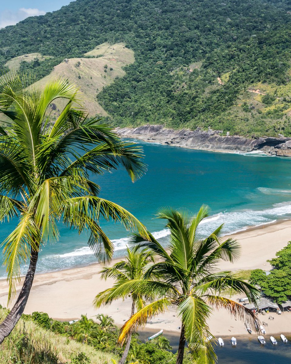 MSCCruzeiros's tweet photo. Descubra Ilhabela a bordo do #MSCOrchestra! Praias incríveis, natureza exuberante e cultura local esperam por você. Pronto para essa aventura? 🌊🌴Saib mais: https://t.co/9O19B9LFKH https://t.co/lBLpHH7N8v