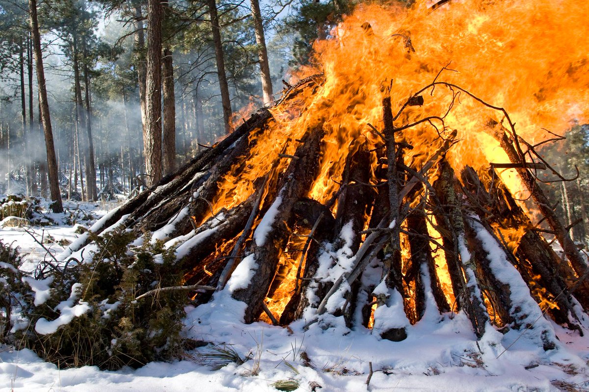 Mystic Ranger District fire (central Black Hills) will be burning piles in Pennington County, 7 miles W of Rapid City, SD off of Victory Lake Rd, for the next 2 weeks, as conditions permit. Smoke will be visible from the surrounding area.