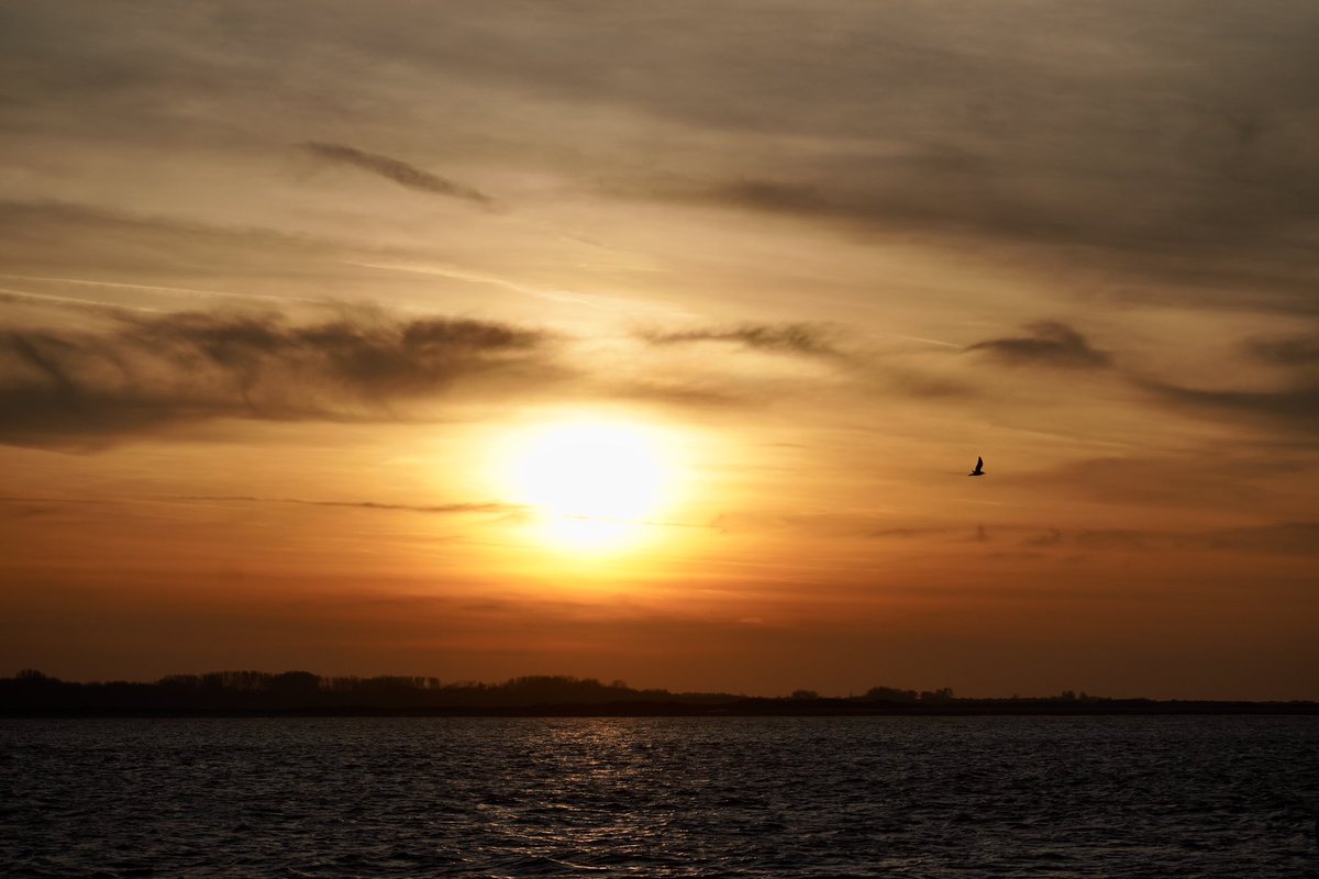 #Noordzee #kust #visserij #beleving 
Goedeavond 😊