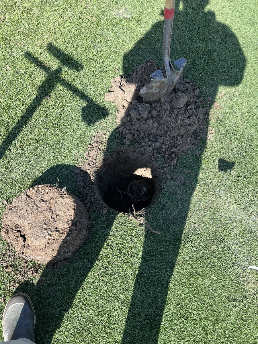 Pensacola CC Greens & Grounds tweet media