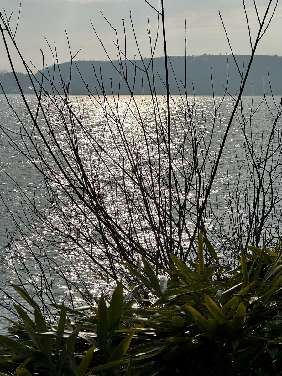 charlotte_sinha's tweet image. „Die schönste Liebeserklärung aller Zeiten ist kein Gedicht oder Lied, sondern folgender Gesetzestext:
Alle Menschen sind frei und gleich an Würde und Rechten geboren.&quot;
(Hosea Ratschiller, Kabarettist und Schauspieler)
Diese Utopie als Realität …

Habt einen schönen Abend!