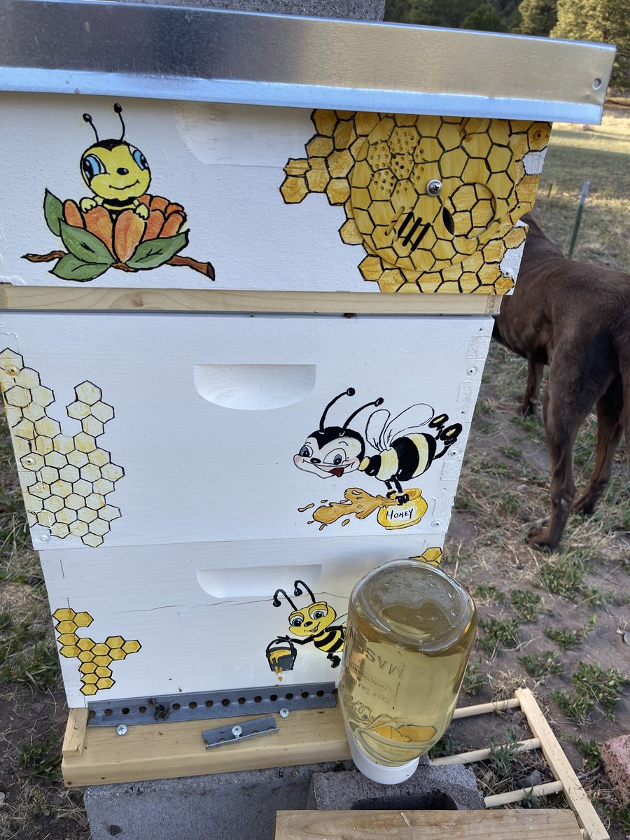 Kevin Widner tweet media