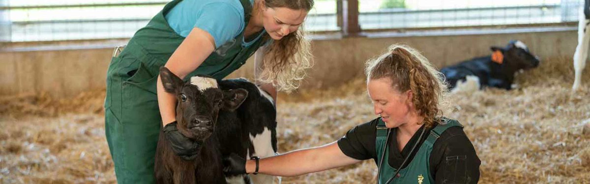 AVMA-championed legislation has been reintroduced in Congress to help address the public health dangers of illicit xylazine while preserving its availability as an important drug for use in veterinary medicine. Learn more: bit.ly/4jWwfxc