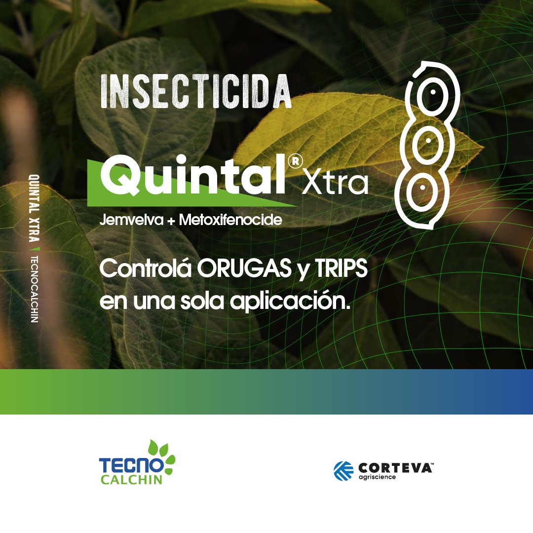 tecnocalchin's tweet photo. ☝🏼 La #Solución para el #Control eficaz de lepidópteros 🐛defoliadores en el cultivo de #Soja 🌱
▶️ 𝗤𝗨𝗜𝗡𝗧𝗔𝗟® 𝗫𝗧𝗥𝗔 / #Insecticida > Cómo y cuándo realizar el tratamiento?
Nos ocupamos de asesorarte 🙋🏻♂️ Somos profesionales 🥇
#TecnoCalchín 🧉
@CortevaARG https://t.co/lgVXUo3Ahb