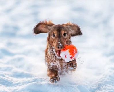 Overland Park Police tweet media