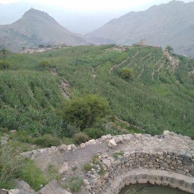 Your content exchange is a catalyst for intellectual growth. Thank you! Your content is a source of inspiration. Thanks! Delia Marko