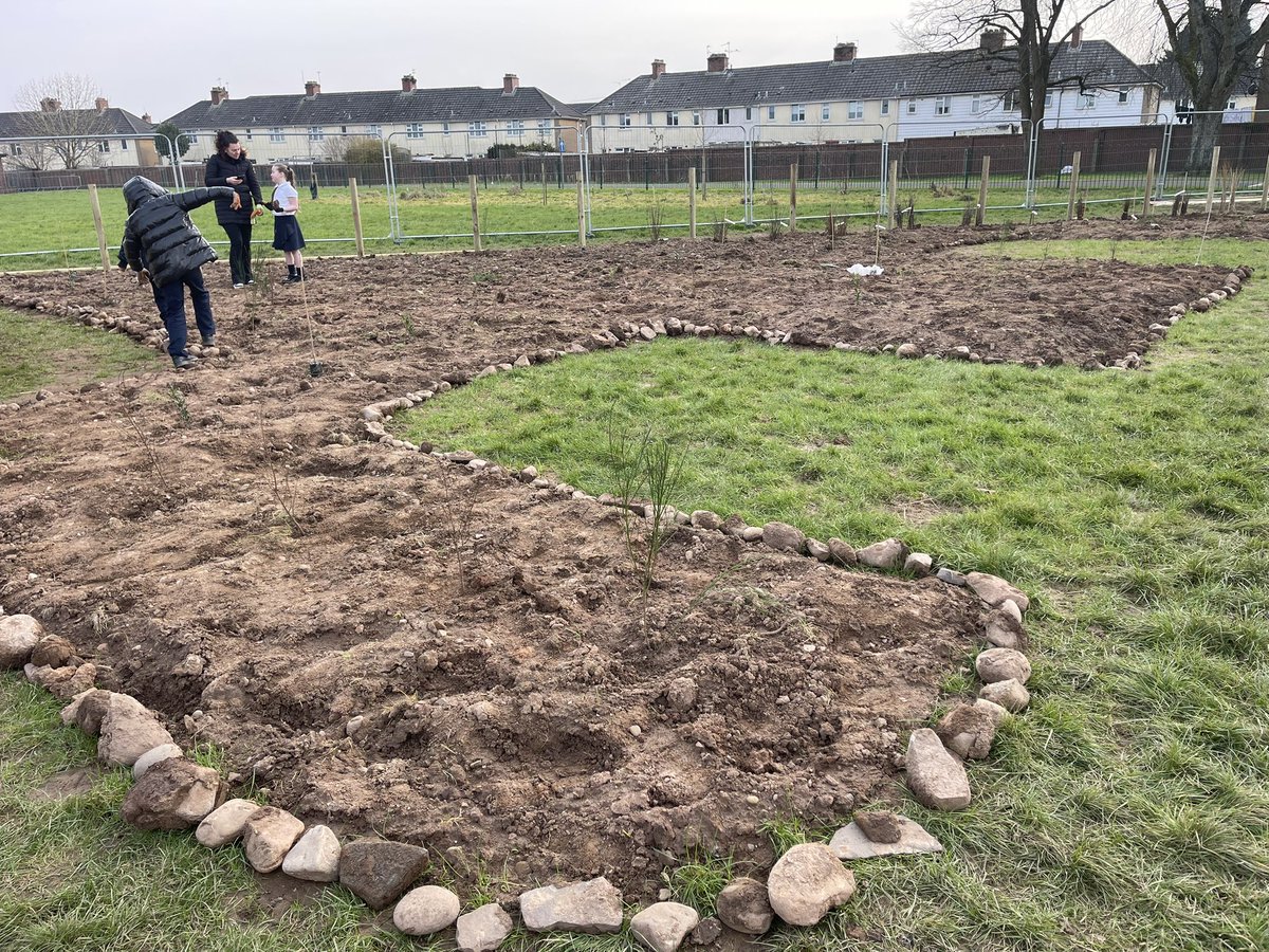 What a great improvement to the new Tiny Forest site ready for planting our trees