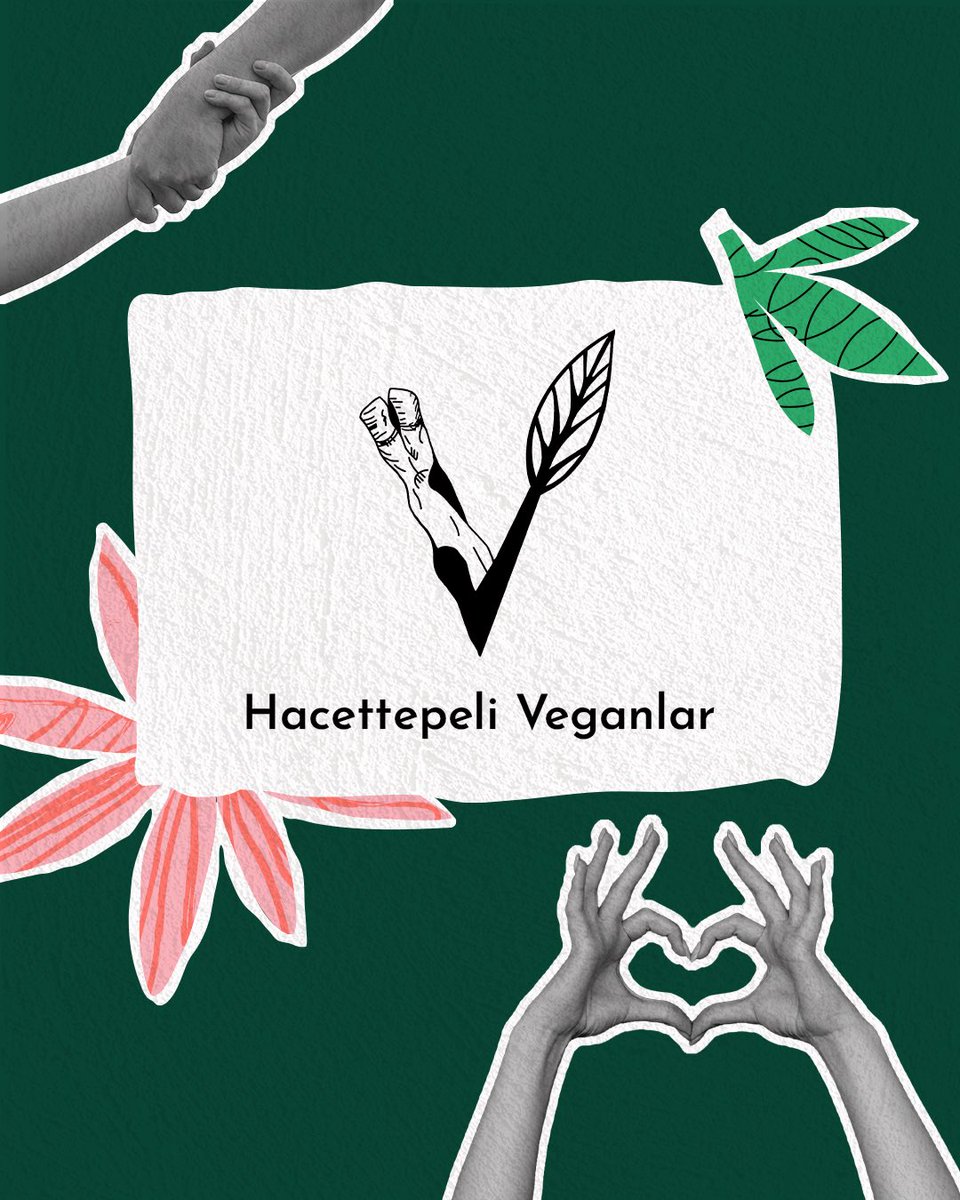 AnimalAid  
Bilkent Vegan Topluluğu 
Diren Tekir 
Hacettepeli Veganlar