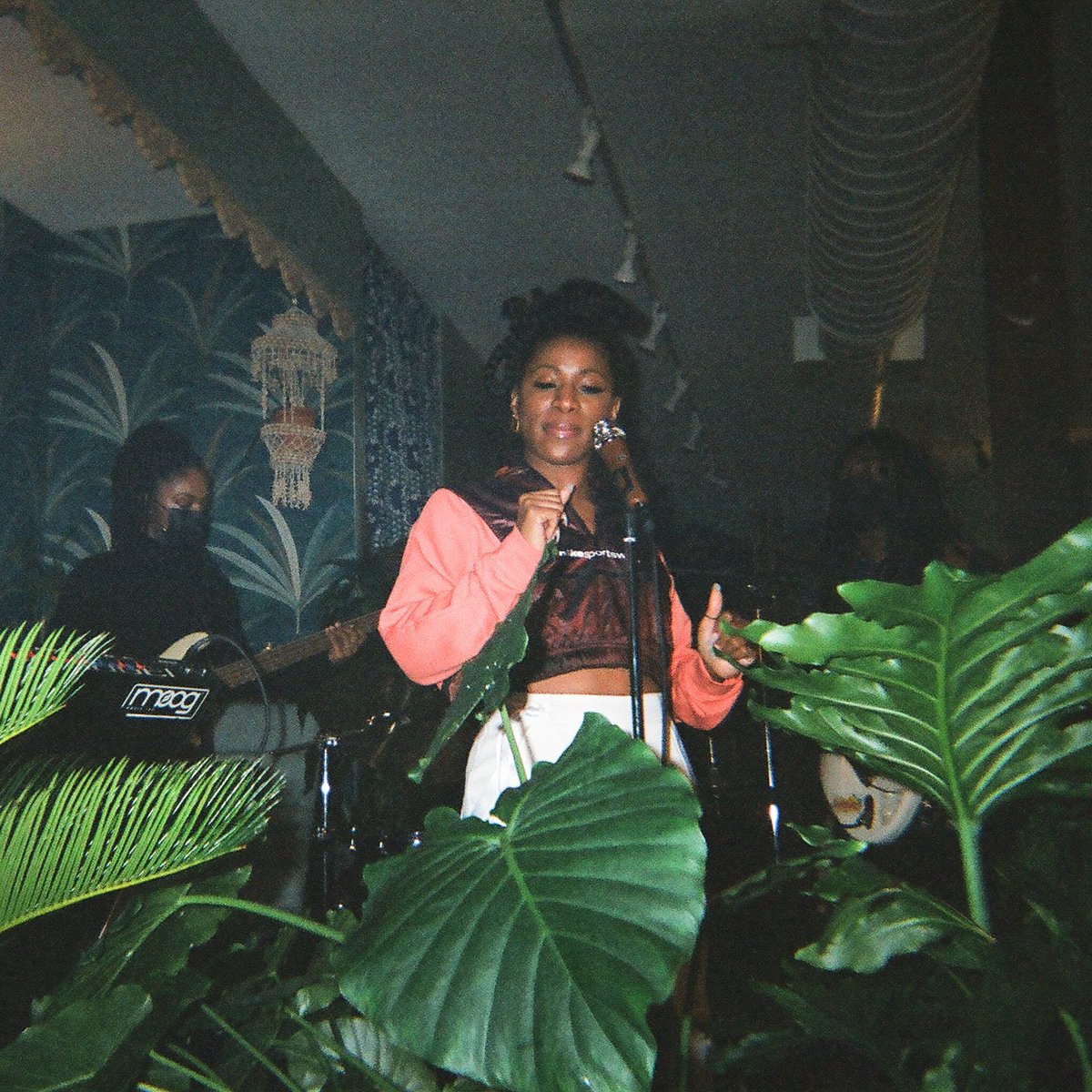 Almost 4 years ago to the day, Feb 2021, we linked up with <a href="/KingCourtnie/">court court</a> to launch our Live from the Flower Shop series. Tomorrow we’re running it back to celebrate Courtnie’s new EP “POISON."  Pull up!

9PM at Damballa — 895 Broadway, Brooklyn

RSVP: posh.vip/e/1-month-of-p…