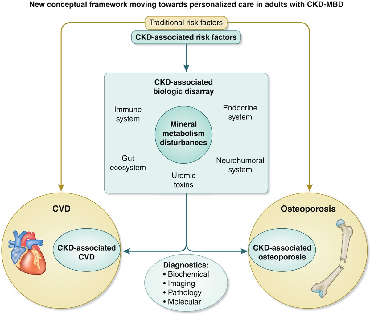 Kidney International (@kidney_int) on Twitter photo Chronic kidney diseaseāmineral and bone disorder: conclusions from a Kidney Disease: Improving Global Outcomes (#KDIGO) Controversies Conference
doi.org/10.1016/j.kintā¦
#OpenAccess #MedTwitter #NephTwitter #CKD-MBD
<a href="/NU_Nephrology/">Northwestern Kidney</a> <a href="/KU_Leuven/">KU Leuven</a> <a href="/QueensuDOM/">Queen's U Department of Medicine</a> <a href="/AarhusUni_int/">Aarhus University</a> Chronic kidney diseaseāmineral and bone disorder: conclusions from a Kidney Disease: Improving Global Outcomes (#KDIGO) Controversies Conference
doi.org/10.1016/j.kintā¦
#OpenAccess #MedTwitter #NephTwitter #CKD-MBD
<a href="/NU_Nephrology/">Northwestern Kidney</a> <a href="/KU_Leuven/">KU Leuven</a> <a href="/QueensuDOM/">Queen's U Department of Medicine</a> <a href="/AarhusUni_int/">Aarhus University</a>