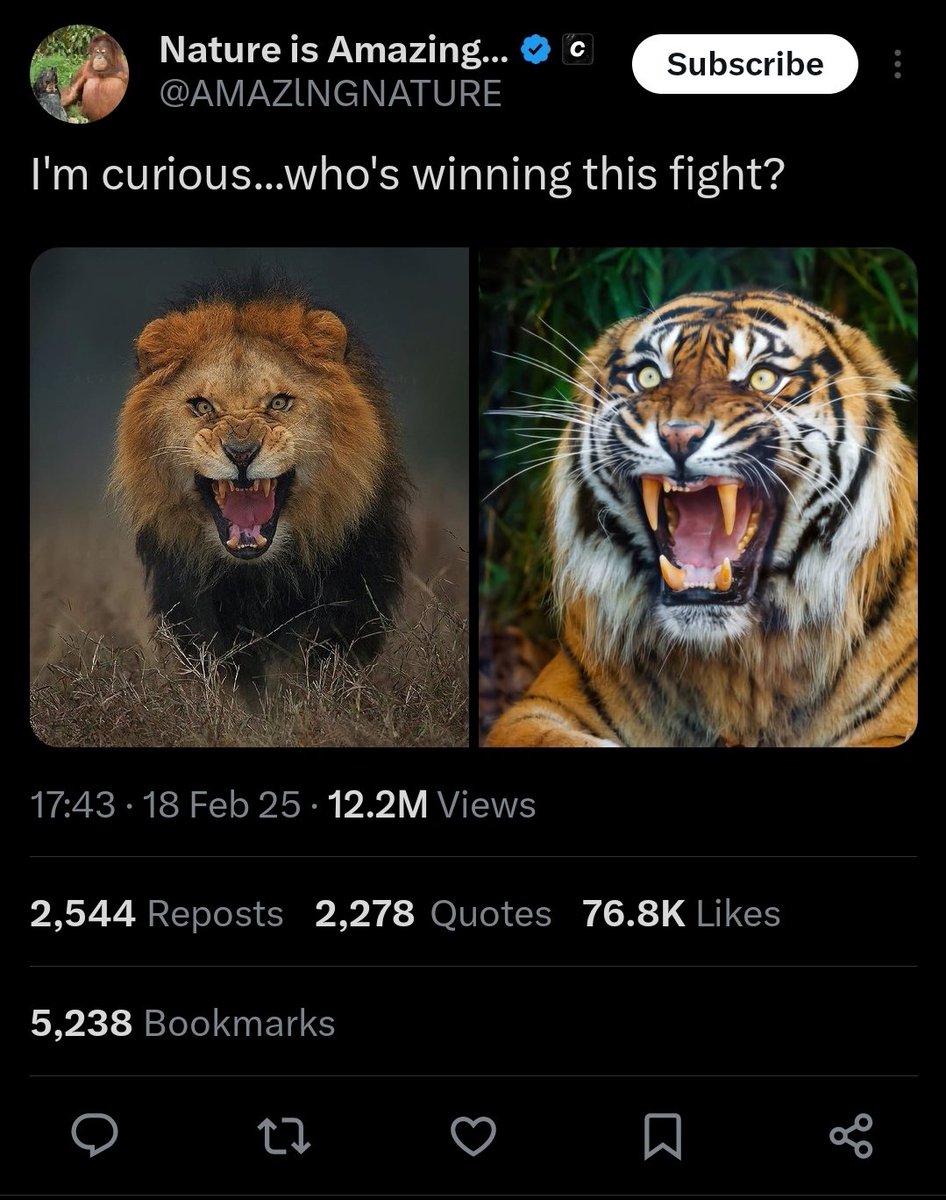 The Thinking Tiger tweet media