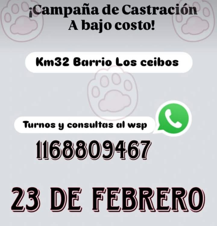 protegealanimal's tweet photo. LA MATANZA
#LAMATANZA #MATANZA #GONZÁLEZCATÁN #CATÁN #BARRIOLOSCEIBOS #KM32 #ZONAOESTE #GRANBSAS #BSAS #BUENOSAIRES https://t.co/ahQ9croZpe