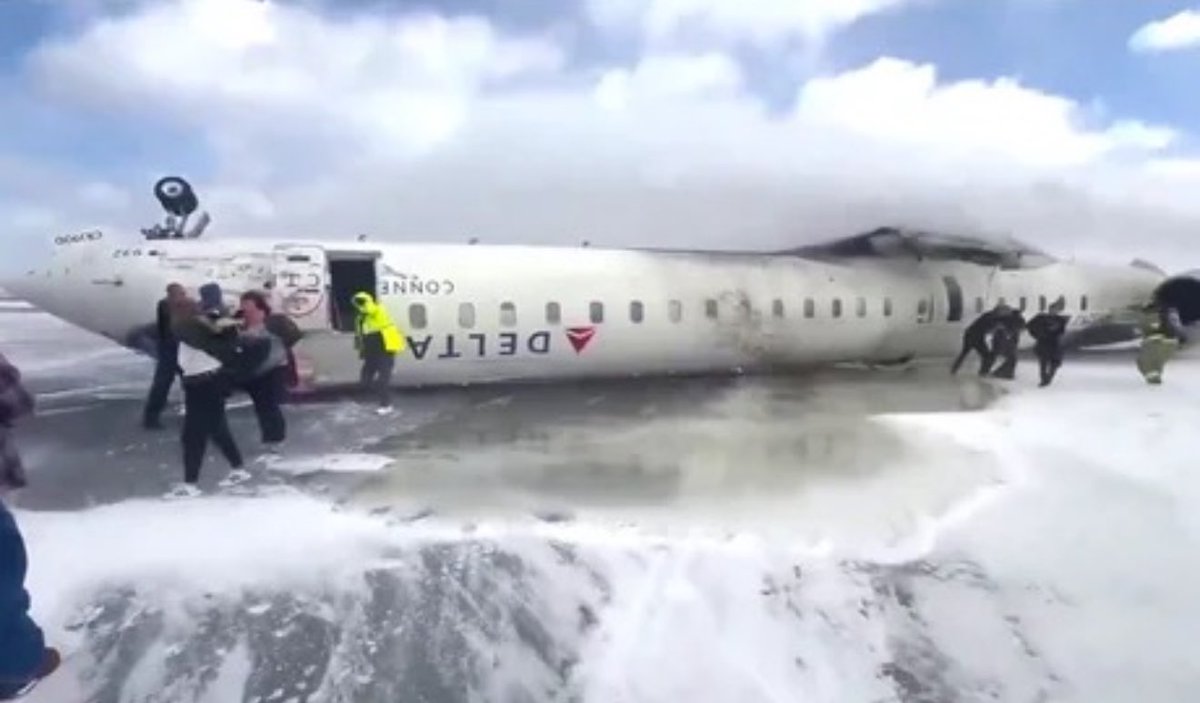 Nick Sortor tweet media