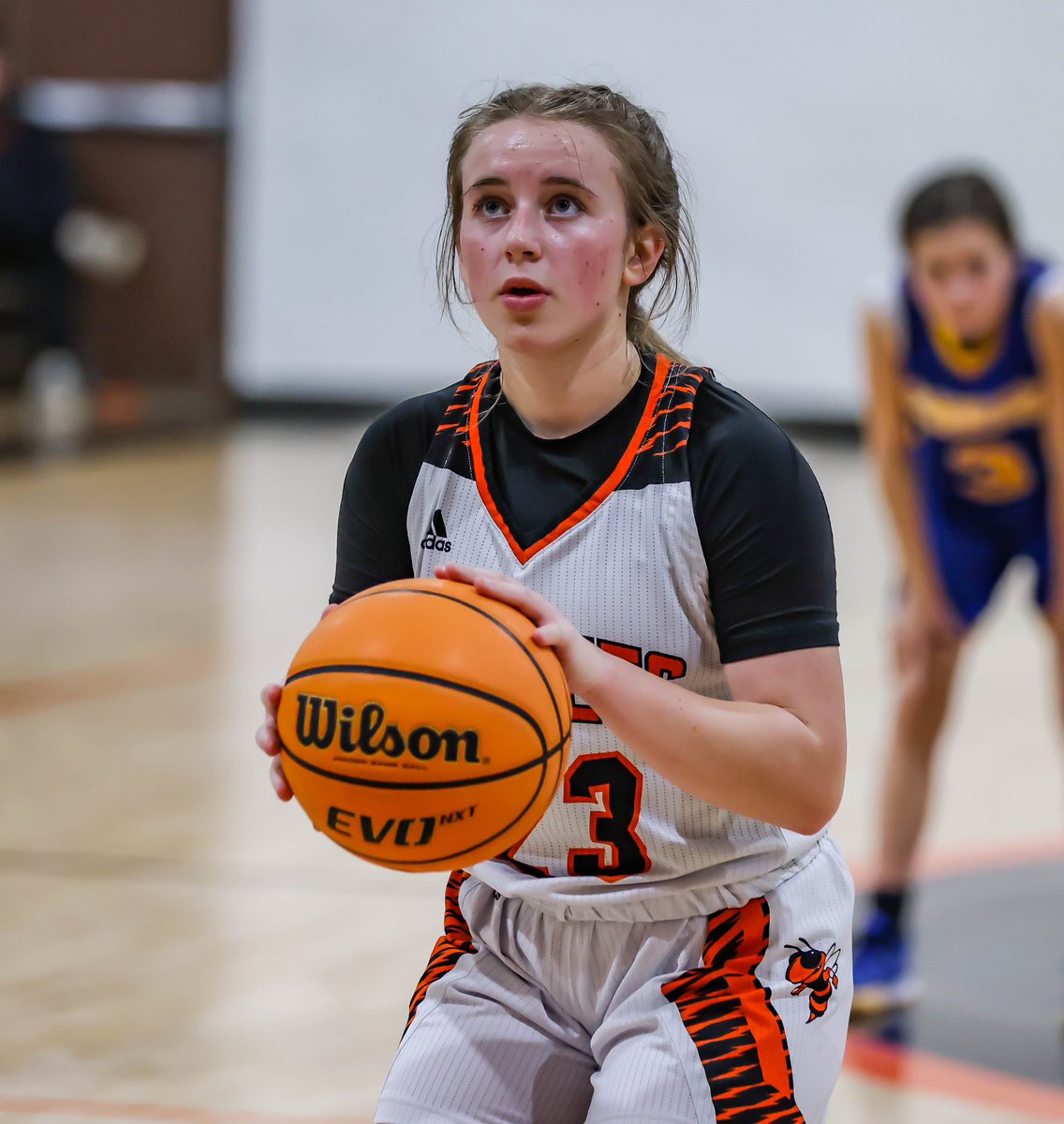 Addy Carson tweet media