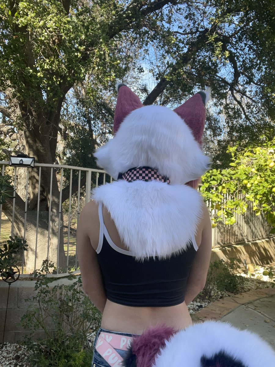 My first fursuit commission is complete!!
I am so proud of her

This beauty is for <a href="/Mantamorrows/">Bea 🔞</a>