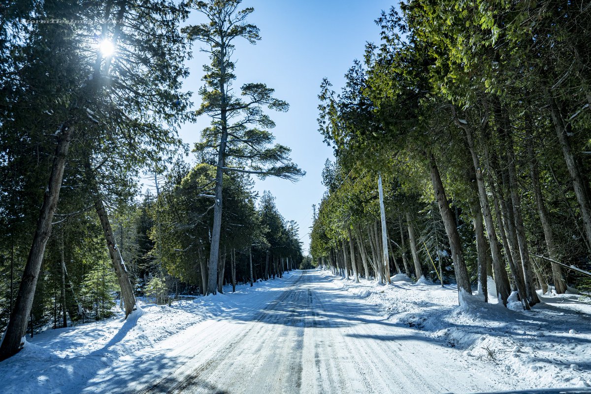 Ran out on a 5hr round trip drive to take some photos today! Can't wait until the wind dosnt hurt my face when I go out: Nothing helps the mind more than nature!

#MentalHealthMatters #NaturePhotography #naturelovers #NatureBeauty #EscapeTheCity #Grounding #photography