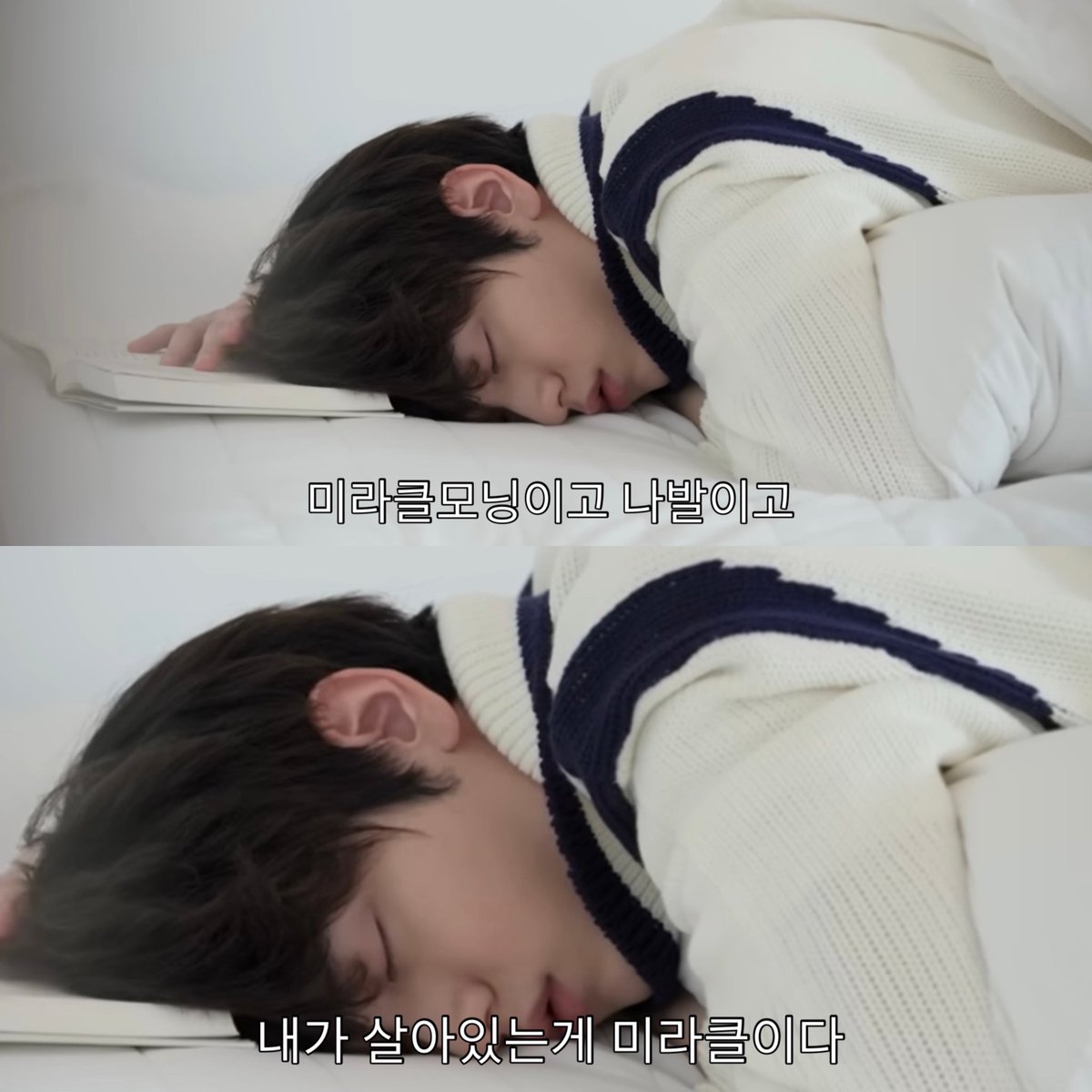 치오 (@paseutachi_) on Twitter photo 