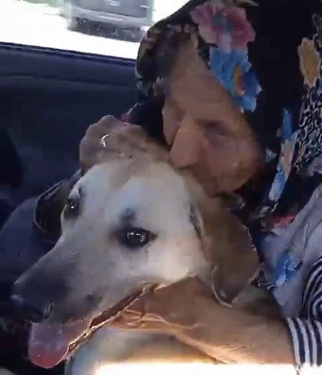 Koca şehir Ankara’da derme çatma bir barakada 82 yaşındaki kimsesiz bir kadının o şartlarda yaşamasına nasıl göz yumdunuz ? O yokluk da hem kendisi için hem hayvanlar için yaşam mücadelesi verirken neden yoktunuz ? 

Artık hayatta yok oda baktığı canlarda alın koca şehir sizin