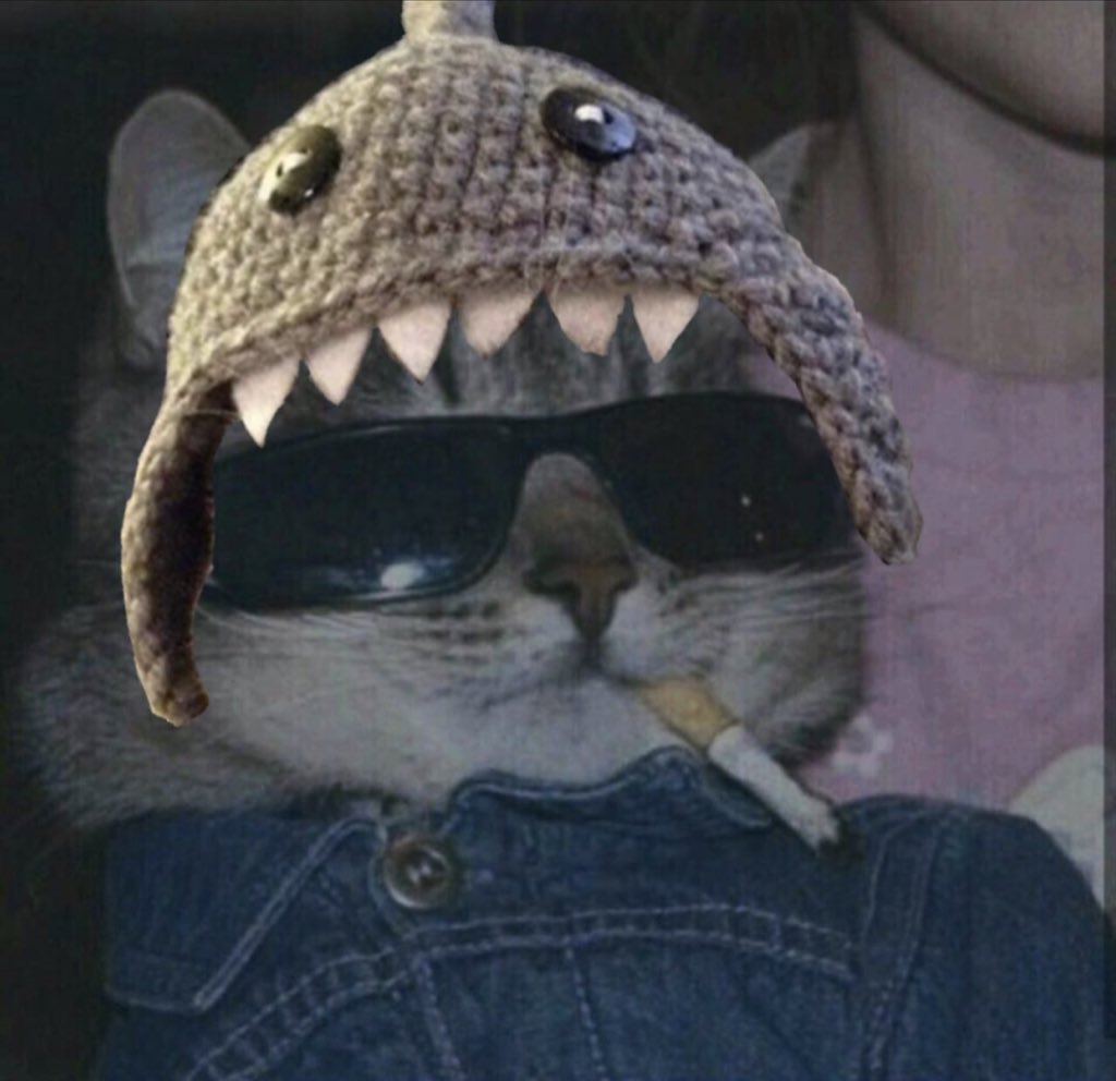 SharkCatSolana's tweet image. you know what to do