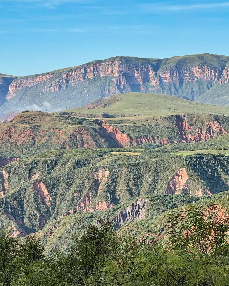 Visit Salta tweet media