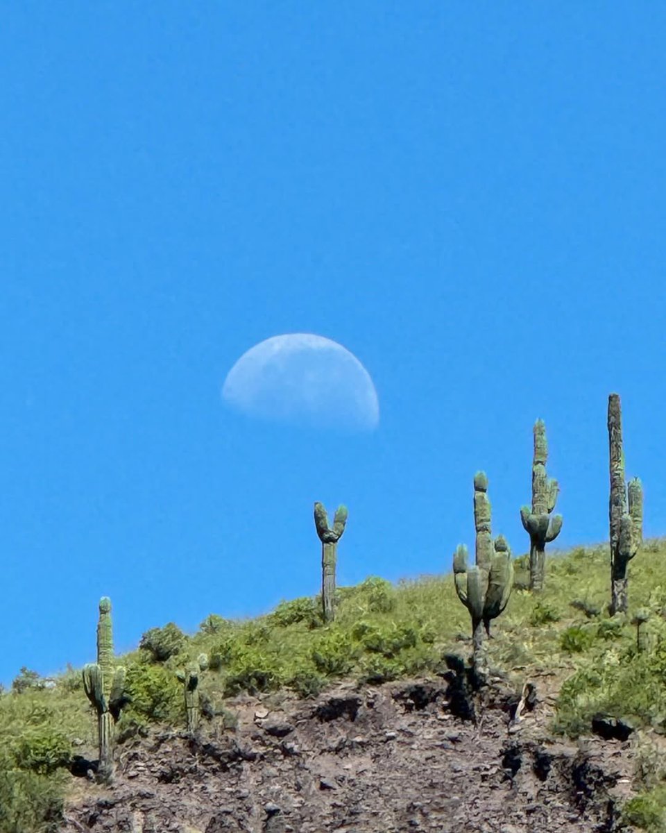 Visit Salta tweet media