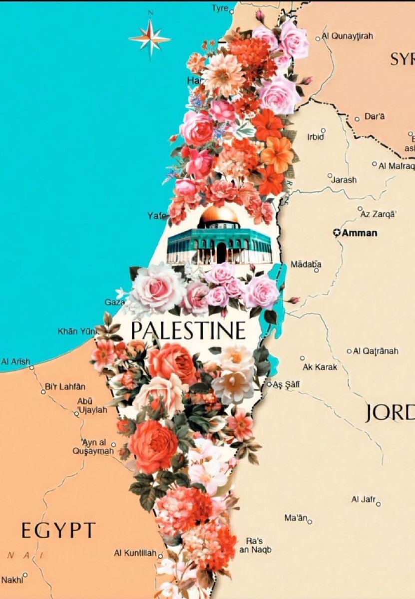 gmbyt's tweet image. Gazze'nin Yer Değiştirmeye İhtiyacı Yok

#GazaNeedsNoRelocation