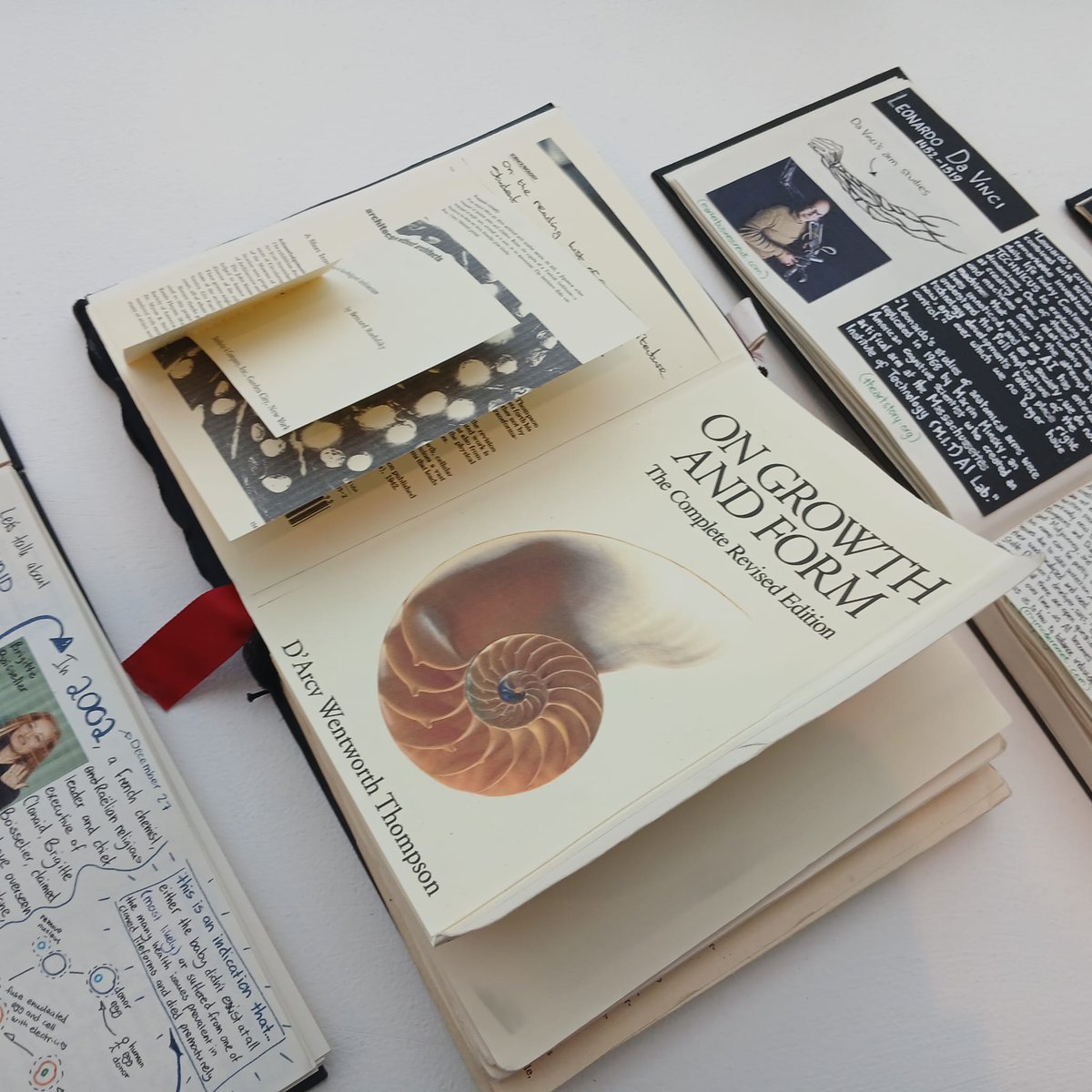 CCS_LSAD tweet media