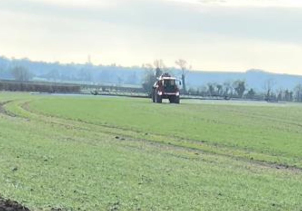 James S. Peck tweet media