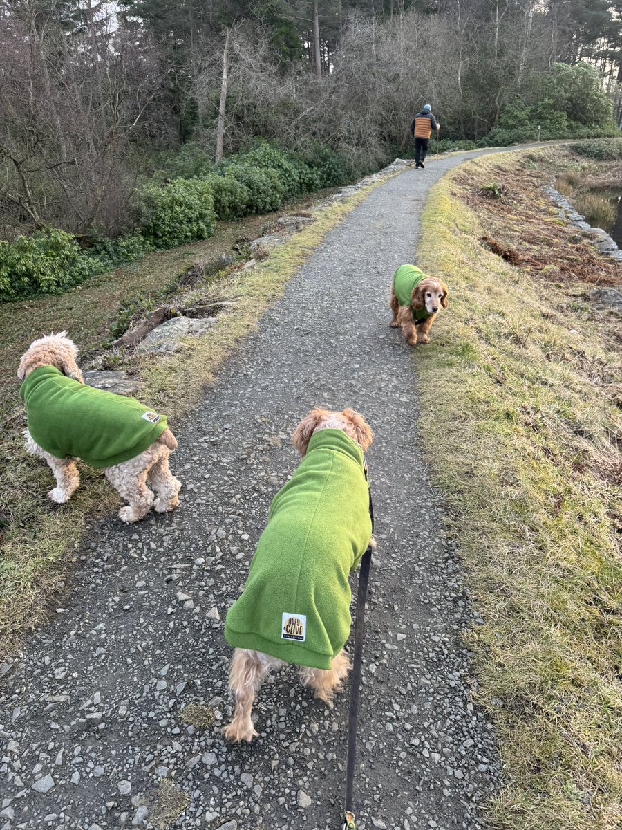 SpanielsSuper's tweet photo. @HGrafdad @nationaltrust Next time you’re here Teddy we will all go together & show you the best bits …… there are so many #BestBits
It’s as good as #TeddysBeach
#SuchGoodFun https://t.co/STr1kCVoQQ