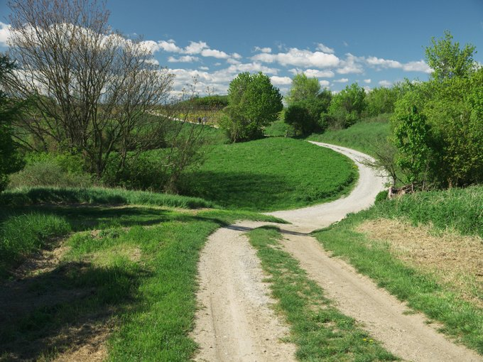 David Atherton tweet media