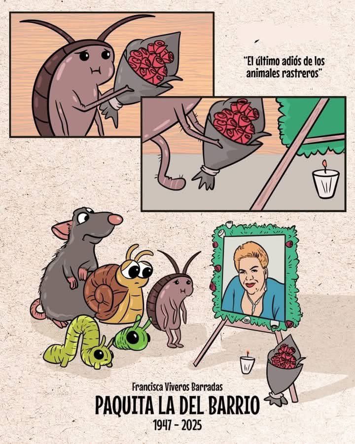 Hasta siempre #PaquitaLaDelBarrio ya no tendremos quien nos humille 🥲🥲