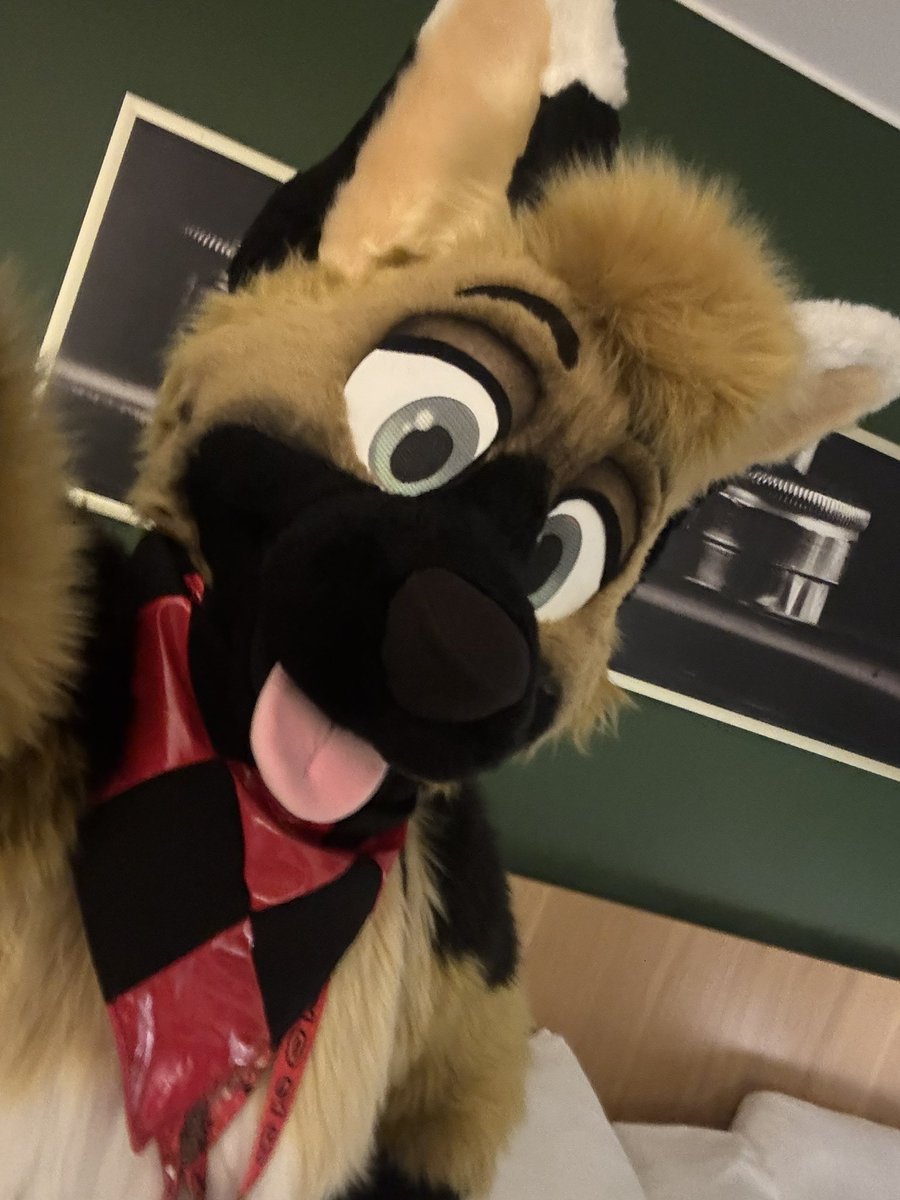 Fursuit Time! Come say hi!! 🥰