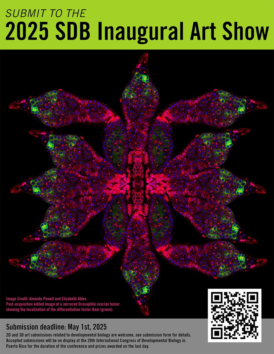 SDB will be hosting its Inaugural Art Show at the 20th International Congress of Developmental Biology in Puerto Rico June 18-22. Both 2D and 3D art submissions related to developmental biology are welcome. Learn more: sdbonline.org/2025icdb_art_s…  #2025SDB #2025ICDB