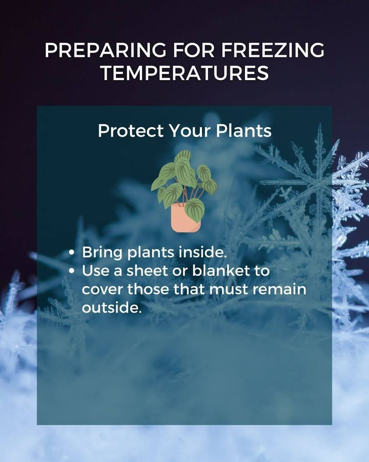 Freezing temperatures are moving into the area, and will be here through Friday. Protect your property, pipes, plants and pets during these chilly days and nights. And help keep streets free of ice by turning off your automated outdoor sprinkler systems: bit.ly/3L3vmBM