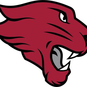 Concordia offered!! <a href="/RecruitSAHS/">#RecruitSAHS</a> <a href="/CharlieDrewek/">Charlie Drewek</a>