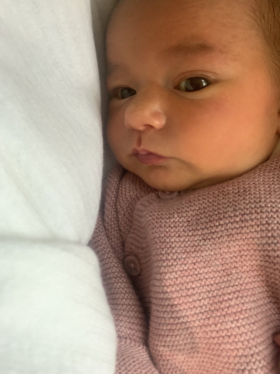 RebecaLozano98's tweet photo. Lo más bonito que el amor puede crear. 
Bienvenida al mundo Megara 🖤 https://t.co/oEr1EGZY9H
