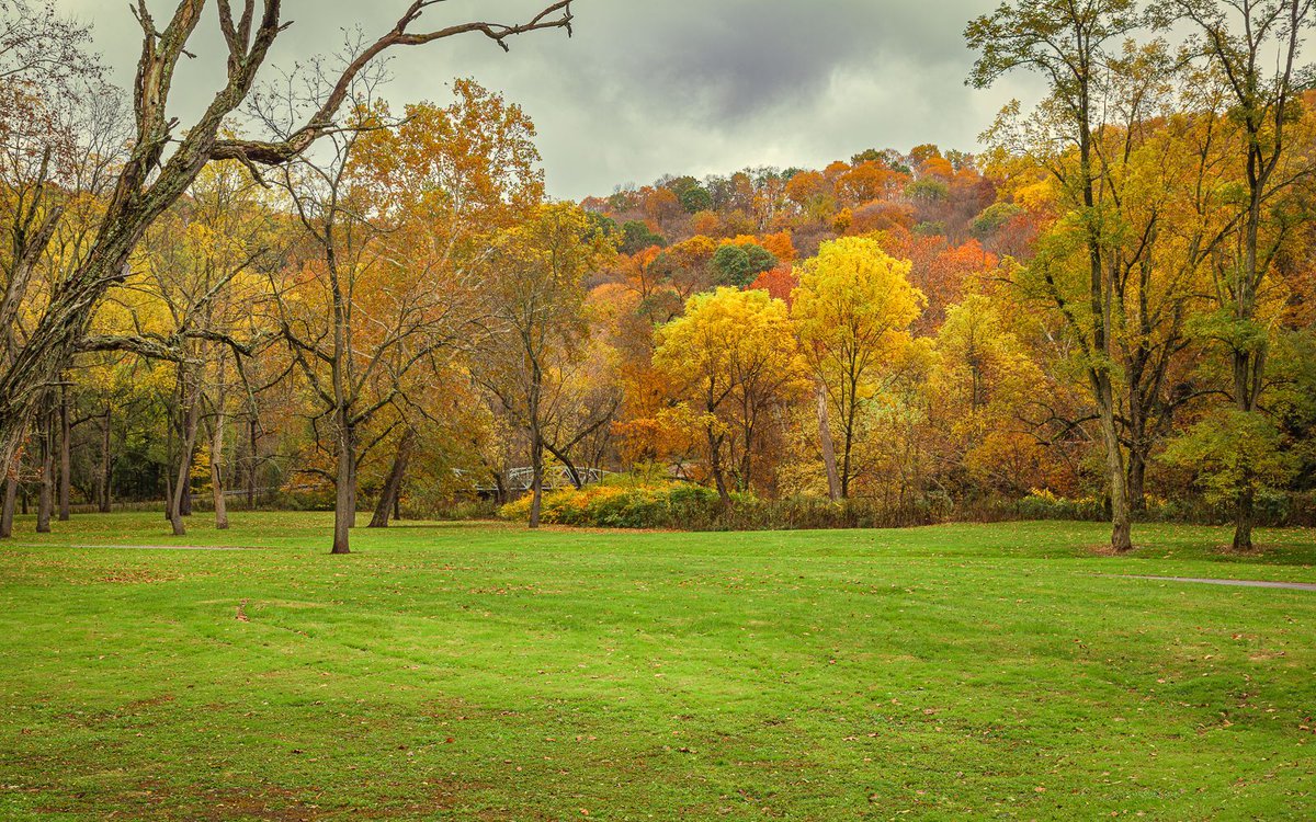 Beaver Creek State Park, in the foothills of the Appalachian Mountains, is one of Ohio's most scenic parks. Visiting in Autumn only makes it more glorious. #fallcolors #ohio #travel

pixels.com/featured/autum…